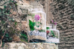 terrarium9