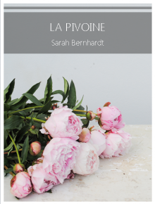 pivoine sarahb