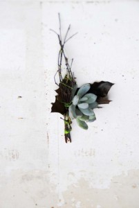 boutonniere succulente erable